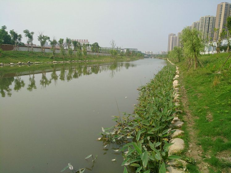 天公河水环境治理